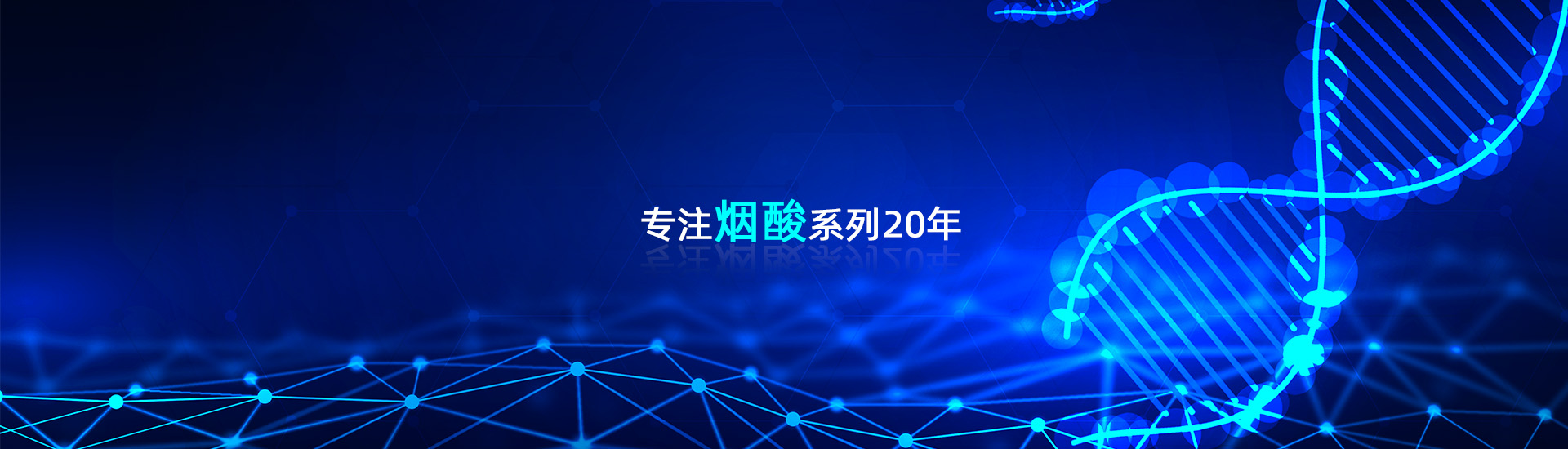 PC端幻燈一